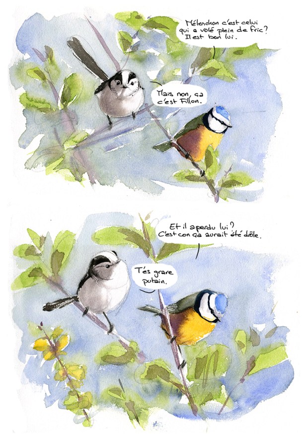 180320_Pignocchi_mesanges2