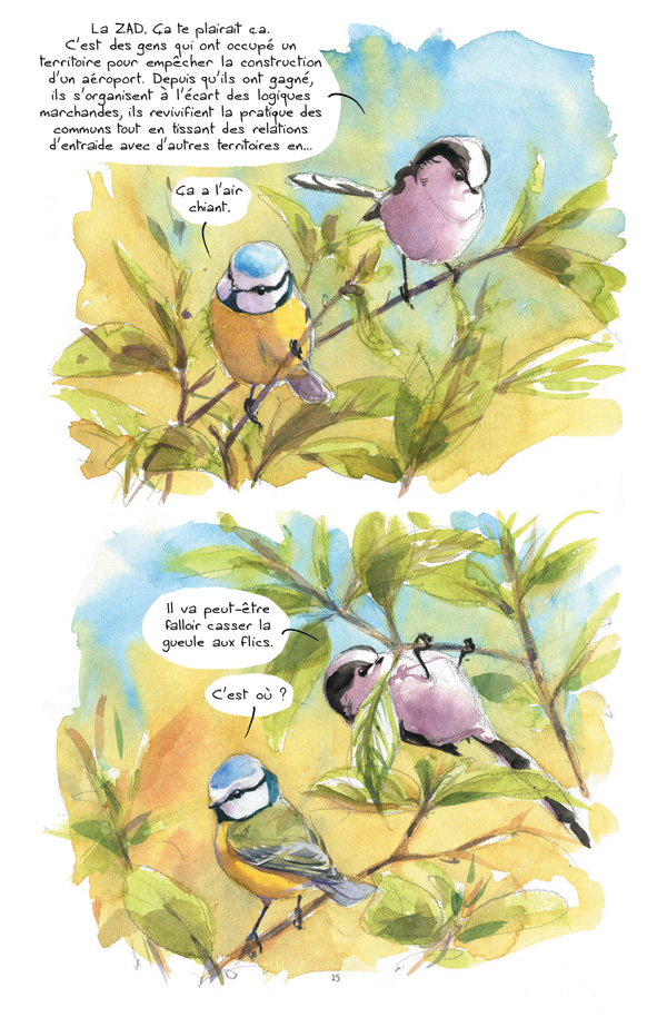 180320_Pignocchi_mesanges3