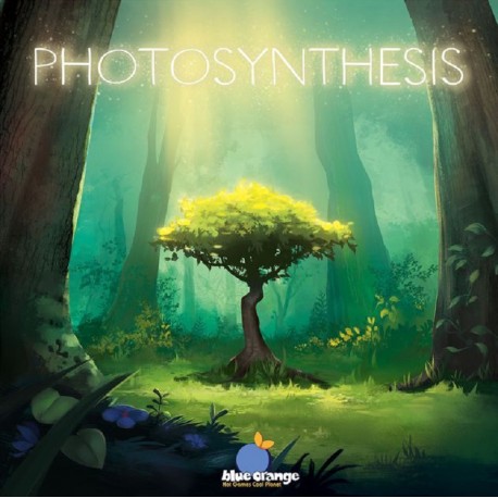 240820_photosynthesis